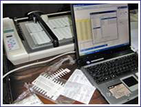 Grafoplast Ve Klemsan Plotter